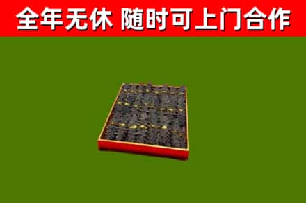 清江浦区回收海参